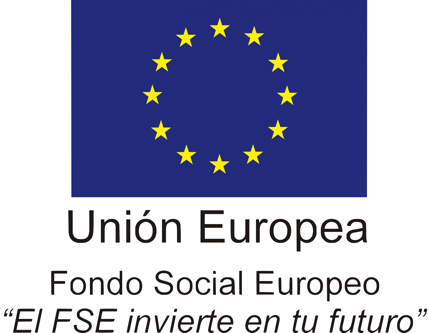 Logo FSE